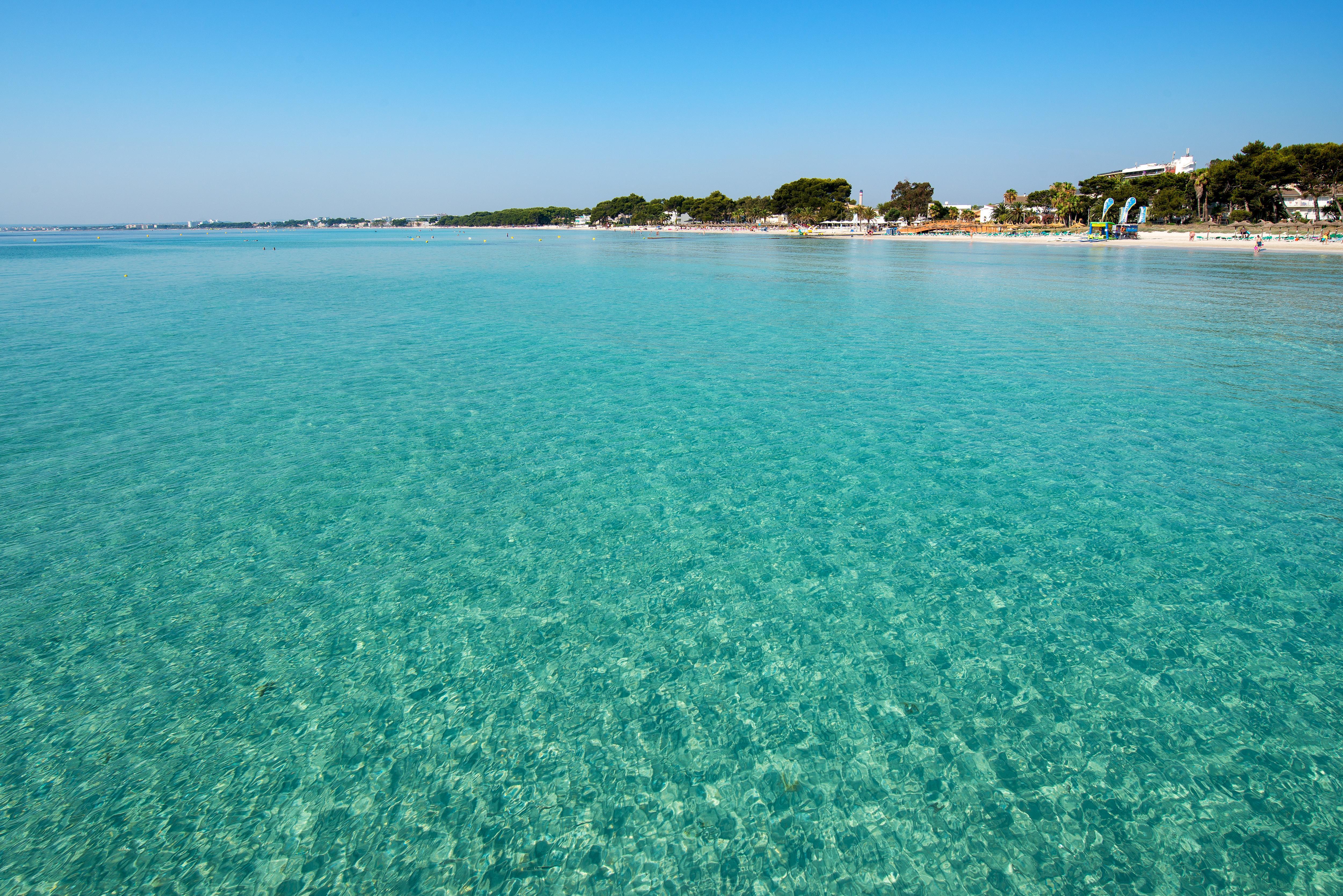 Bellevue Club Aparthotel Port de Alcudia  Kültér fotó